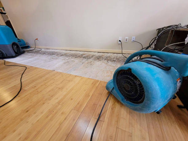 Reliable Basement Flood Cleanup contractor in Fuquay-Varina, NC by Hirex Water Damage