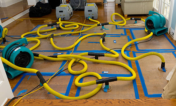 Professional Basement Flood Cleanup technician working in Fuquay-Varina, NC